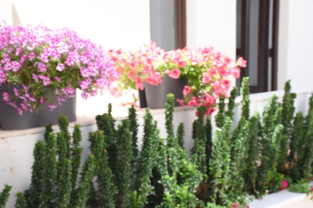 Apartments Petar Budva Zewnętrze zdjęcie
